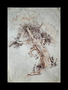 "Study of Tree"